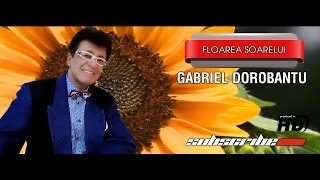 Gabriel Dorbantu Floarea Soarelui [upl. by Stoneman10]