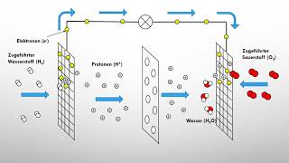 Brennstoffzellen einfach erklärt  Klemens klärt Chemie [upl. by Vanna]