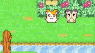 Hamtaro HamHam Heartbreak Part 1 [upl. by Catharine897]