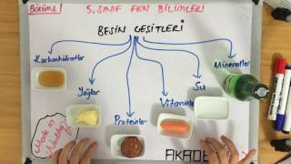 5 Sınıf  Ünite 1  Bölüm 1  BESİN ÇEŞİTLERİ 2 [upl. by Sil10]