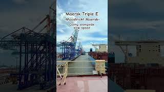 Maersk Triple E vessel  Containership  Cargo seafarer [upl. by Annaili]