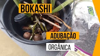 A eficiência do Bokashi e do lesmicida adubaçãoorganica bokashi enraizamento [upl. by Alyak24]