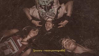 Pozory  Nasza Pornografia Republika cover  lyric video  2023 [upl. by Eleirbag808]