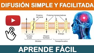 DIFUSIÓN SIMPLE Y FACILITADA TRANSPORTE PASIVO MEDIO INTERNO 5 [upl. by Hammock]