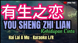 You Sheng Zhi Lian 有生之戀  Hai Lai A Mu  Karaoke LR [upl. by Ellary]