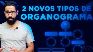 2 NOVAS MANEIRAS DE VOCÊ MONTAR UM ORGANOGRAMA Organize a sua Empresa de Maneira Estratégica [upl. by Klemens]