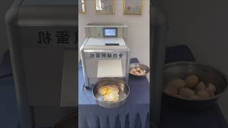 Automatic egg fryer [upl. by Reagan]