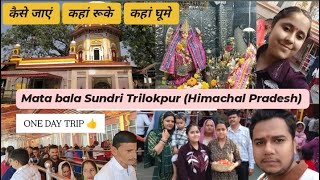 MATA BALA SUNDARI TRILOKPUR🙏♥️HIMACHAL PRADESH🏔️ ONE DAY TRIP👍 manishakashyapvlog [upl. by Landis]