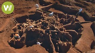 Entdeckung einer gigantischen AmeisenStadt  Wie ein Weltwunder [upl. by Scrope]