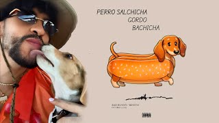 Perro Salchicha Gordo Bachicha Bad Bunny IA  Chima Chiodi [upl. by Carlick]