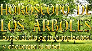 Horóscopo de los árboles Horóscopo celta conoce cuál es tu árbol 100 efectivo [upl. by Formenti]