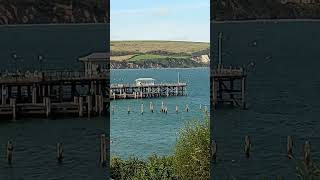 People on the pier Swanage Dorset the Knotman [upl. by Oliver933]