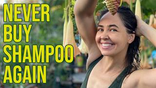 How to Grow ToxinFree Shampoo at Home [upl. by Gimble49]