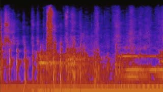 disc 11 spectrogram [upl. by Ahsit]