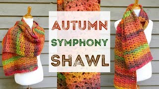 How To Crochet the Autumn Symphony Shawl [upl. by Harhay528]