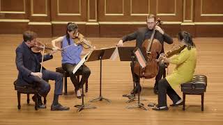 Brahms String Quartet Op 51 No 2 1 Allegro non troppo [upl. by Nosdrahcir608]