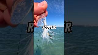 Let’s fish with a ROOSTER TAIL 🐟🎣 fishing fish [upl. by Sierra]