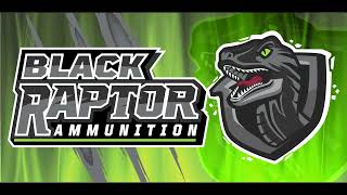 Watch Before You Buy Black Raptor 9mm Affordable and Reliable [upl. by Sackey]