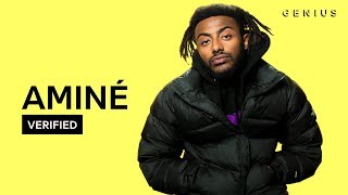 Aminé quotDR WHOEVERquot Official Lyrics amp Meaning  Verified [upl. by Devaney222]