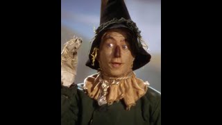 Dorothy meets Scarecrow on The Yellow Brick Road Wizard Of Oz Comedy Recap [upl. by Ettedo]