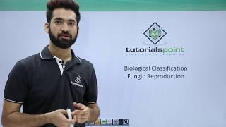 Class 11th – Kingdom Fungi – Reproduction  Biological Classification  Tutorials Point [upl. by Murtagh]