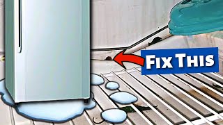 Refrigerator Leaking Water This Is How To Fix It [upl. by Airdna683]