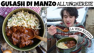 GULASH UNGHERESE lo spezzatino più delizioso e tenero di sempre ricetta originale Davide Zambelli [upl. by Sela]