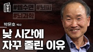 낮 시간에 자꾸 졸린 이유 l 박문호 박사 당알지 [upl. by Aisatnaf]