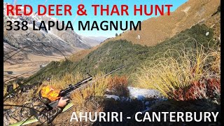 338 Hunting  Ahuriri Conservation Area  Red Deer and Thar Hunt June 2023 [upl. by Holub53]