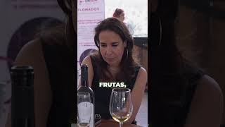 En este festival de vino puedes probar una gran infinidad de vinos y distintas uvas [upl. by Aneetak602]