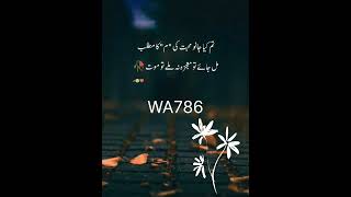 Aitbaar badhta hai aur bhi mohabbat ka poetrychannel poetry ghazal love sadpoetry [upl. by Moia622]