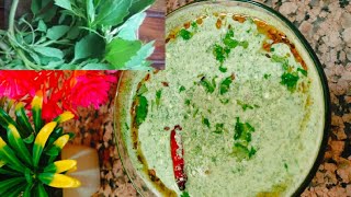 Bathua Raita Recipe  Bathua ka Raita recipe by sarkichen28 [upl. by Van]