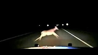 Dashcam shows deputy sheriff hitting deer at 114 mph [upl. by Hettie]