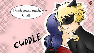 quotLadynoir Fancomicquot Miraculous Ladybug Comics  Comics Dub Compilation [upl. by Doehne]