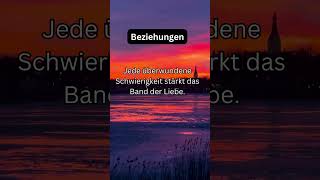 Beziehungen short beziehungen mindset [upl. by Tybald]