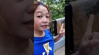 Ignoring prank kay ate sam wawa naman fypシ゚ pakapakavlog [upl. by Ahsirak]