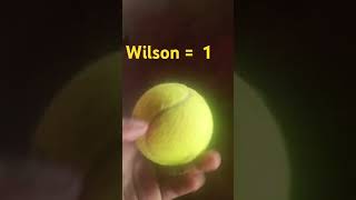 cricket world famous cricket💥💥 Wilson 1 ball [upl. by Isayg]