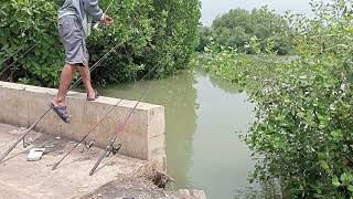 Greatest Fishing Videos 🎣 fishing [upl. by Aielam524]