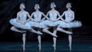 Swan Lake – Dance of the cygnets The Royal Ballet [upl. by Frangos]