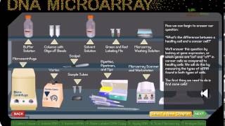 DNA microarray [upl. by Mahla]