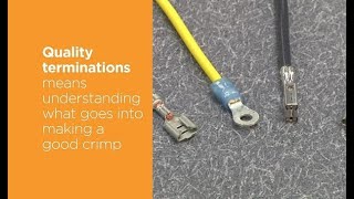 The Basics of Crimp Quality [upl. by Ttej]