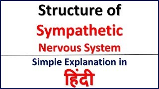 Structure of Sympathetic Nervous System simple explanation in Hindi  Bhushan Science [upl. by Anelra]