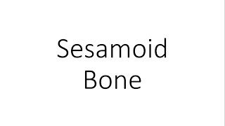 Sesamoid Bone  General Anatomy [upl. by Kotick400]