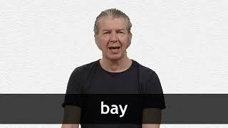 How to pronounce BAY in American English [upl. by Allimrac]