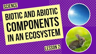 Biotic and Abiotic Components in an Ecosystem [upl. by Nitsa]