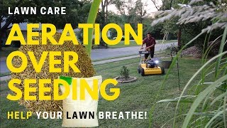 Lawn Aeration and Over Seeding ► Stinger Dual 2450 Aerator [upl. by Ohaus485]