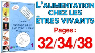 Azzedine Alami SVT 1APIC  Pages 323438 🦷 L’alimentation chez les êtres vivants [upl. by Laughlin]