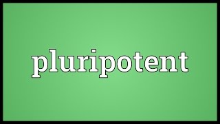 Pluripotent Meaning [upl. by Anelaf34]