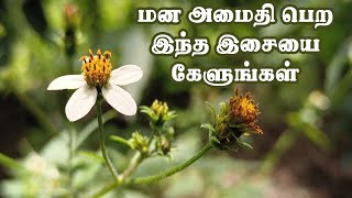 🧘இதை கண்மூடி கேட்டால் மன அழுத்தம் குறையும் Deep Meditation Music [upl. by Priest662]