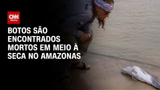 Botos são encontrados mortos em meio à seca no Amazonas  AGORA CNN [upl. by Blanche]